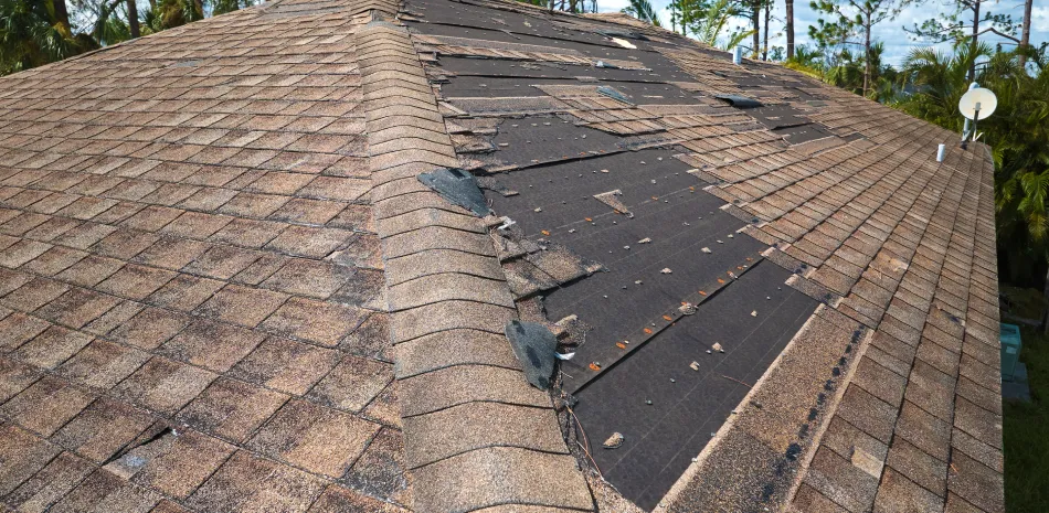 Emergency Roof Repair Emergency Roof Repair
